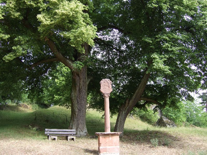 2011- 189.jpg